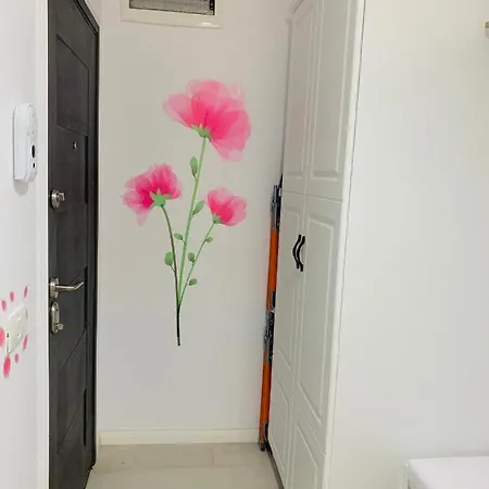 Fabian Apartament * Năvodari