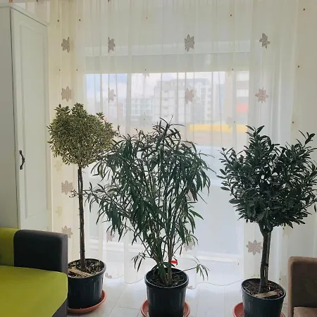 Appartamento Fabian Apartament *